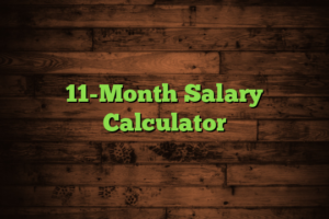 11-Month Salary Calculator
